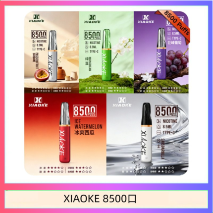 梟客XIAOKE一次性電子菸拋棄式8500口