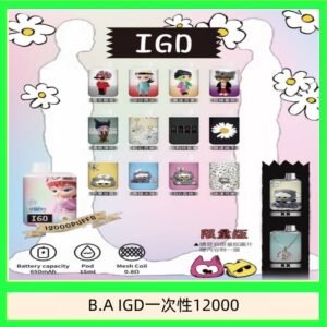B.A IGD12000口 電子煙