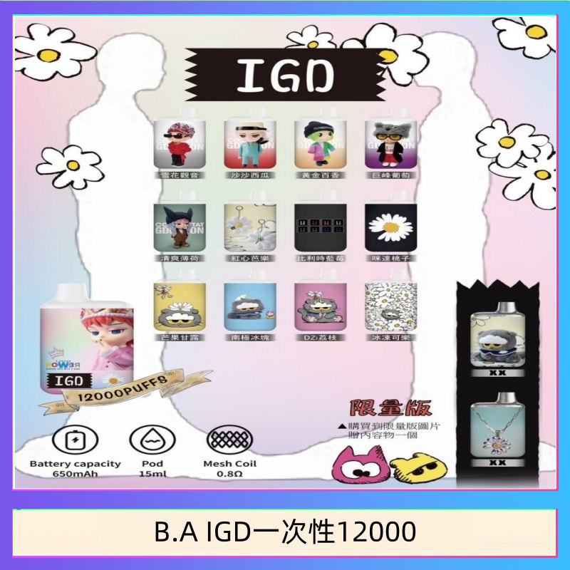 B.A IGD12000口 電子煙